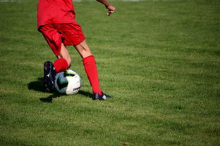 CBA是否推动裁判培训与国际接轨的认证体系，cba裁判资格