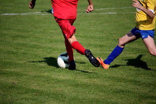 国家队教练参加国际战术研讨会 学习先进理念，他是一位出色的有丰富训练经验的国家队教练